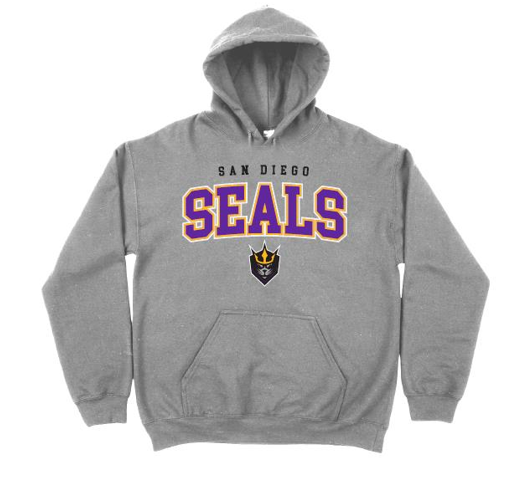 Grey & Purple Sweatshirt