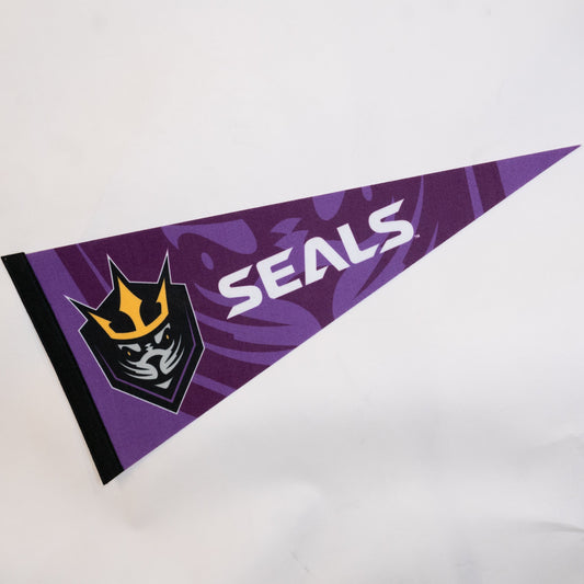 8" x 18" Felt Pennant